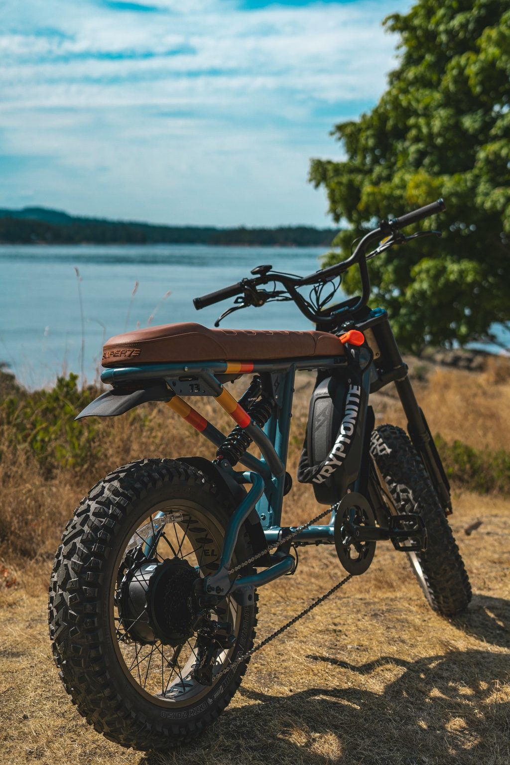 Rugged fat-tire e-bike parked in a scenic outdoor setting