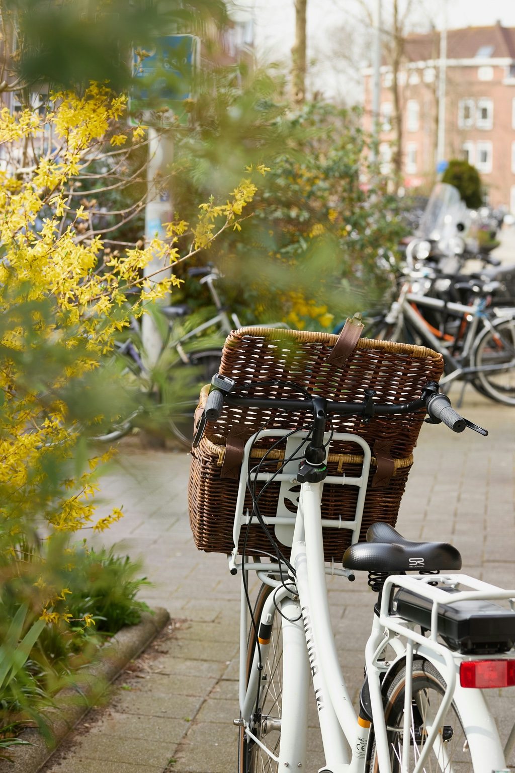 Utility e-bike with a large front basket parked on a city sidewalk