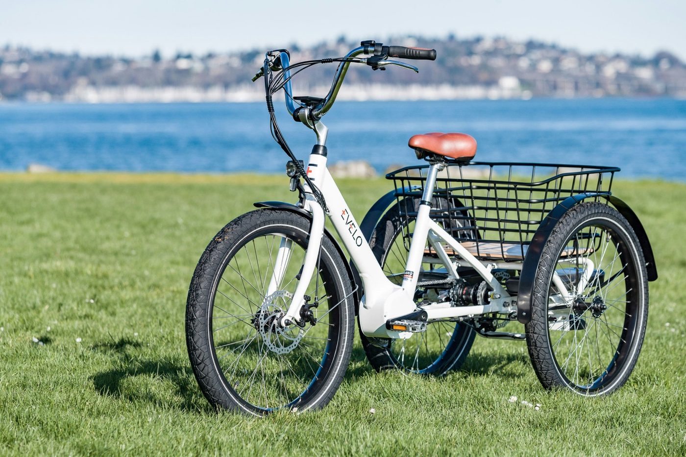 Family-oriented cargo or utility e-bike in use