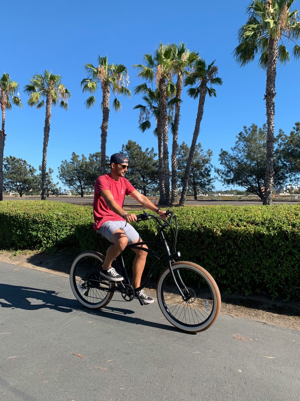 Relaxed cruiser-style e-bike rider on a path lined with palm trees